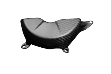 protezione dell´alternatore Carbonio per Ducati Panigale V4/V4S/V4R / Streetfighter V4/V4S 100% Carbonio | Spigato | Opaco
