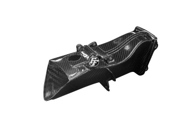Carbon Lufteinlässe für Triumph Daytona 675 2006-2012 Carbon+Fiberglas | Köper | Glossy