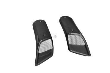 Carbon Lufteinlässe für Yamaha MT-01 Carbon+Fiberglas | Leinwand | Glossy