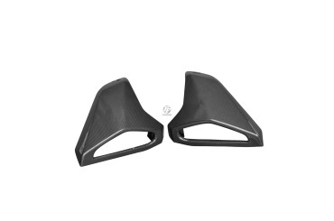 Carbon Air Intake (Side Parts) for Yamaha MT-09 2013-2016 