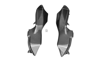 Carbon Lufteinlass Verkleidung für Ducati 749 / 999 100% Carbon | Köper | Glossy