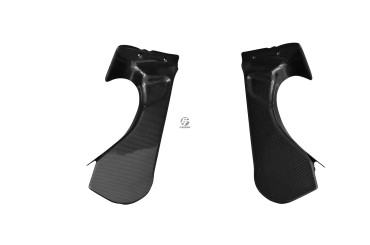 Carbon Lufteinlass Verkleidung für MV Agusta F4 1000 2010- 100% Carbon | Leinwand | Glossy