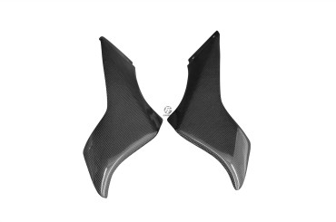 Carbon Air Intake Cover for MV Agusta F4 750 / 1000 / 1078 1999-2009 Carbon+Fibreglass | Plain Weave | Glossy