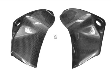 Carbon Air Intake Cover for Suzuki TL 1000 R 