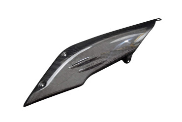 Carbon Lufteinlass für BMW R Nine T 2015-2019 
