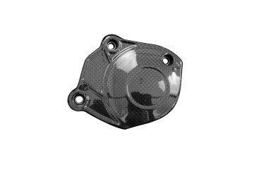 Coperchio motore (coperchio) Carbonio per Triumph Street Triple 765 RS 2023- 
