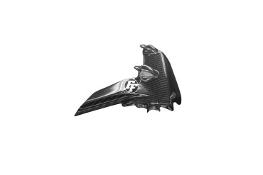 Carbon Motorabdeckung Links für Ducati Monster 1200 / 1200S 2014-2016 100% Carbon | Köper | Glossy