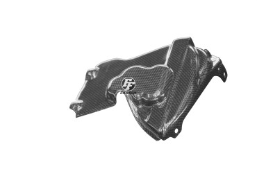 Carbon Motorabdeckung Rechts für Ducati Panigale 899 / 959 