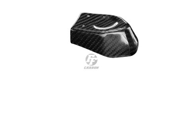Carbon Spritzschutz Abgasklappe für BMW S 1000 RR 2010-2014 / S 1000 R 2014-2016 