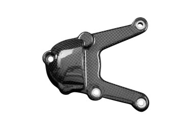 Cache du moteur Carbone pour BMW S1000RR/ S1000XR/ S1000R 2009-2018 