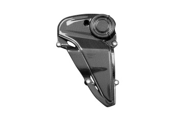 Cofano motore Carbonio per Ducati Monster 821 Stealth 2019- 