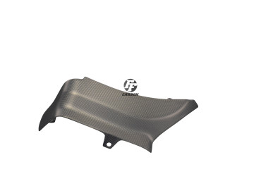 Carbon Motorabdeckung für Ducati Panigale 899 / 959 / 1199 / 1299 