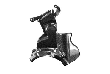 Carbon Motorabdeckung für Ducati Panigale V2 / Streetfighter V2 