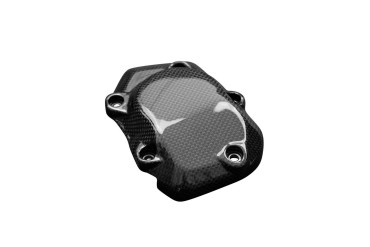 Cache du moteur Carbone pour Kawasaki Z 900 2017- 100% Carbone | Toile Sergé | Brillant
