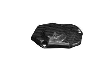 Cache du moteur Carbone pour Kawasaki Z1000 2010-2020 