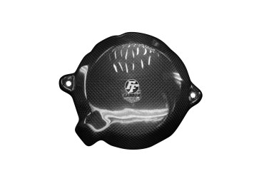 Cofano motore Carbonio per Kawasaki ZX-10R 2011-2015 Carbonio+Fibra di Vetro | Tela | Brillante