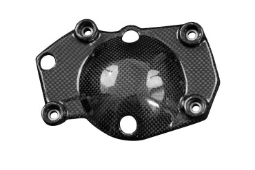 Covertor de motor Carbono por Triumph Street Triple 2017-2022 