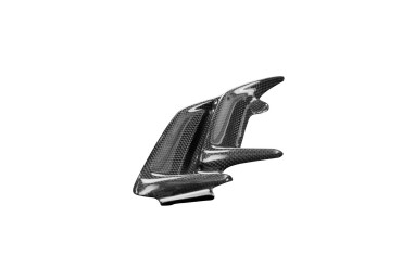 Carbon Engine Cover (Right Side) for BMW S 1000 RR 2019- / M 1000 RR 2021- / S 1000 R 2021- Carbon+Fibreglass | Plain Weave | Glossy