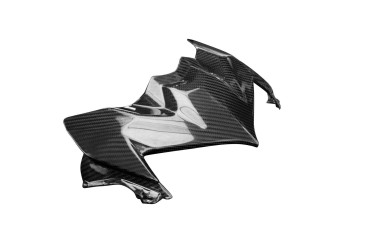 Carbon Obere Frontverkleidung (unteres Teil) für Kawasaki Z900 2020- 