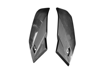 Carbon Upper Side Panel for BMW S 1000 RR 2019- 