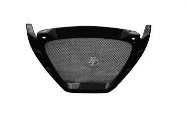 Carbon Oil Cooler Fairing for Aprilia Tuono V4 2015-2020 