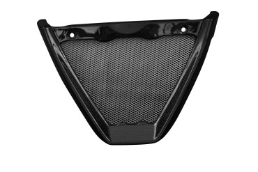 Carbon Oil Cooler Fairing for Aprilia Tuono V4 2021- 