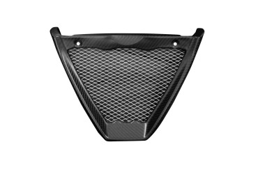 Carbon Ölkühlerabdeckung für Aprilia Tuono V4 2021- Carbon+Fiberglas | Köper | Matt