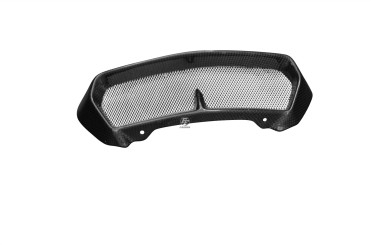 Carbon Oil Cooler Fairing for BMW K1300 R Carbon+Fibreglass | Plain Weave | Glossy