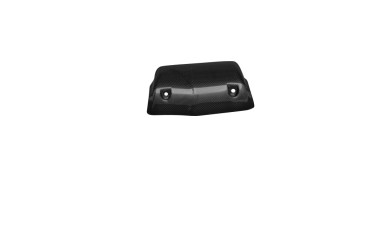 Coperchio del radiatore dell´olio Carbonio per Buell XB 2003-2007 100% Carbonio | Tela | Brillante