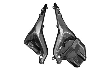 Protection de Cadre Carbone pour Ducati Streetfighter V4 2020- 