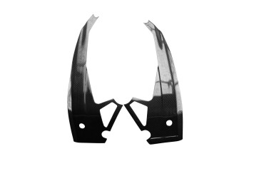 Carbon Rahmenverkleidung für Aprilia RS 660 2020- / Tuono 660 2021- Carbon+Fiberglas | Köper | Glossy