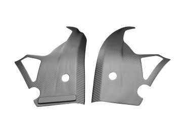 Carenado de marco Carbono por Aprilia RS 660 2020- / Tuono 660 2021- Carbono+Fibra de Vidrio | Patron Sencillo | Brillante
