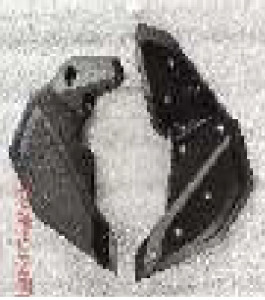 Carbon Rahmenverkleidung für BMW F 900 XR 2021- 