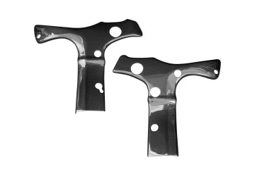 Carbon Frame Cover for BMW S 1000 RR 2019- 