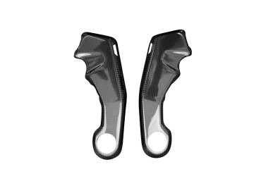 Carenado de marco Carbono por Ducati Multistrada V4 2021- Carbono+Fibra de Vidrio | Patron Sencillo | Brillante