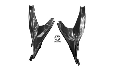 Carenado de marco Carbono por Ducati Panigale 899 / 959 Carbono+Fibra de Vidrio | Patron Sencillo | Brillante
