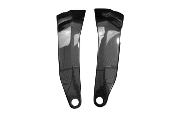 Carbon Rahmenverkleidung für Ducati Panigale V4 2018-2021 