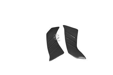 Carénage de Cadre Carbone pour Kawasaki Z1000 2014-2020 