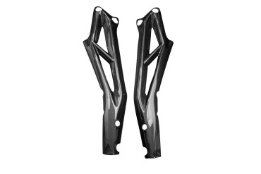 Carbon Frame Cover for Triumph Street Triple 765 2017- 