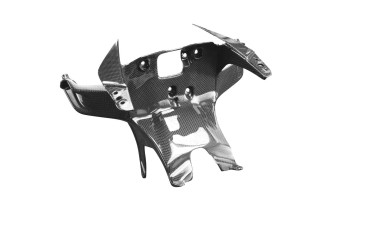 Carbon Headlight Holder for Ducati Panigale V4/ V4S/ V2 2020- 