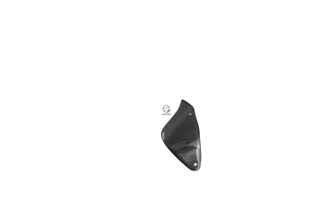 Carbon Schwingenverkleidung Klein für MV Agusta F4 750 / 1000 / 1078 Brutale 750 / 910 / 989 Carbon+Fiberglas | Leinwand | Glossy