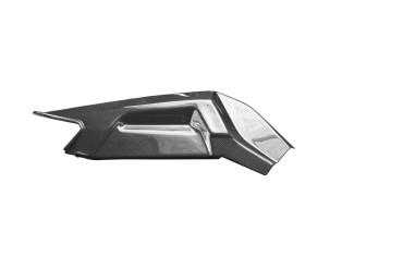 Carbon Schwingenverkleidung für Aprilia RS 660 2020- / Tuono 660 2021- 