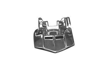Carbon hinteres Schutzblech (alternatives Design) für Aprilia RS 660 2020- / Tuono 660 2021- 