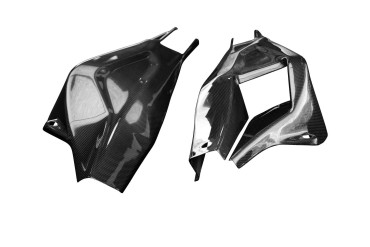 Carbon Swingarm Cover for BMW S 1000 RR 2019- / M 1000 RR 2021- / S 1000 R 2021- 