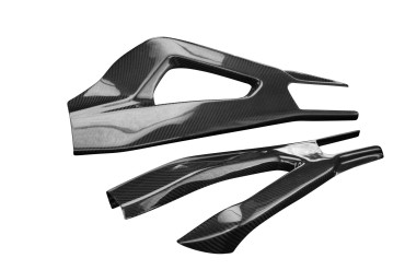 Carbon Swingarm Cover for BMW S 1000 RR 2019- / M 1000 RR 2021- / S 1000 R 2021- 