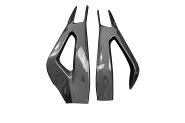 Covertor de brazo oscilante Carbono por BMW S 1000 RR 2019- / M 1000 RR 2021- / S 1000 R 2021- Carbono+Fibra de Vidrio | Patron Sencillo | Brillante