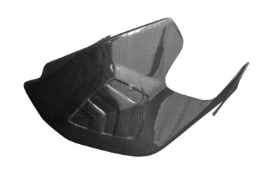 Carbon Schwingenverkleidung für Ducati Panigale 1199 / 1299 