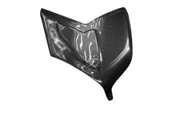 Carbon Schwingenverkleidung für Ducati Panigale V4/ V4 SP/ V4S/ V4R Carbon+Fiberglas | Leinwand | Glossy