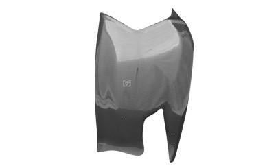 Covertor de brazo oscilante Carbono por Ducati Streetfighter 2009-2015 