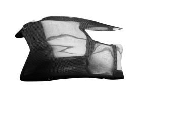 carenatura del forcellone Carbonio per Ducati Streetfighter 2009-2015 100% Carbonio | Tela | Brillante